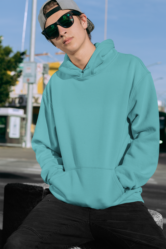 Premium Cotton Hoodie (Sky Blue) #609